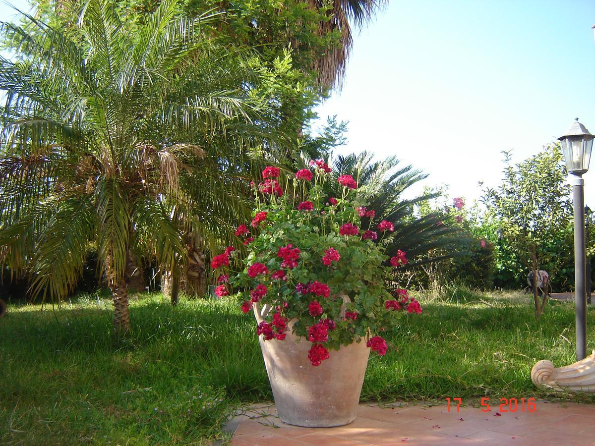 מסקלי B&B Villa San Leonardo מראה חיצוני תמונה